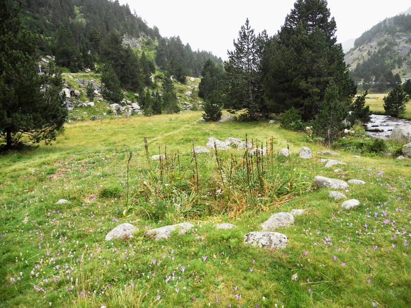 Click for full size image of Forau de la Llana (PID:63648) Forau de la Llana