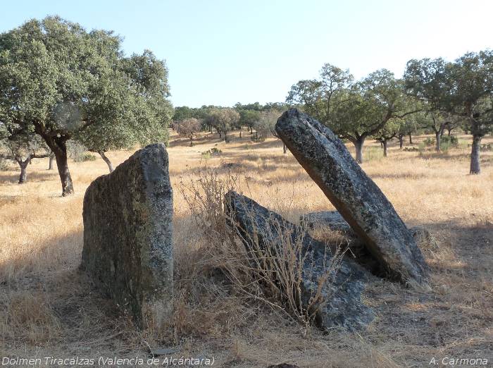 Dolmen Tiracalzas