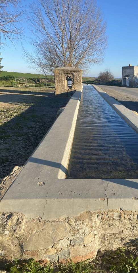 Pilar de la Media Legua
