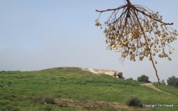 Cueva de Menga