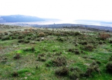 Ladrera  tumulus