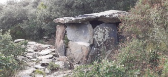 Dolmen de Mas Girarols 1
