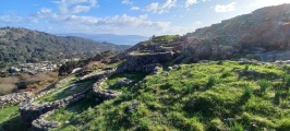 Castro de Donón - PID:253458