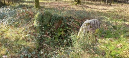 Chan de Armada Dolmen - PID:253462