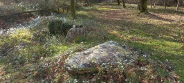 Chan de Armada Dolmen - PID:253461