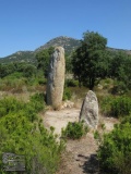 Menhir de la Murtra