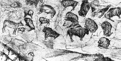 Click for full size image of Altamira (PID:84282) Altamira