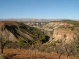 Fonelas Megalithic cemetery - PID:48418