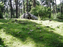 Albi Trikuharria