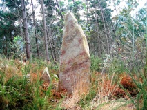 Sorbitzuaga Zutarria