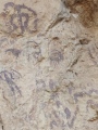 Cueva de los Letreros - PID:259845