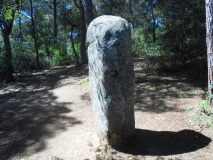 Menhir de la Murtra