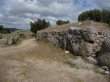 Castro de la Mesa de Miranda