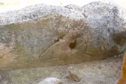 Dolmen de Sols de Riu - PID:146161