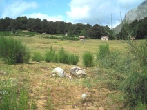 Vegabaño 1 dolmen