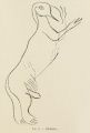 Click for full size image of Altamira (PID:99184) Altamira
