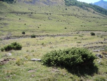 Barranco Mallo Blanco cromlech