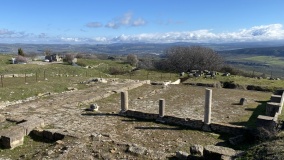 Acinipo