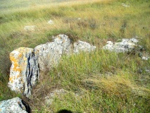 Las Hormazas dolmen
