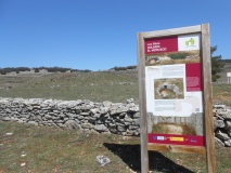 Moreco Dolmen