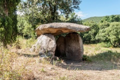 Dolmen Puig de Caneres