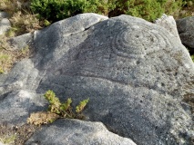 Petroglifos de Calvos