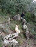 Dolmen de Montmagastre