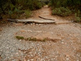 Tombes de Can Robert submitted by Flickr