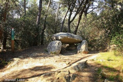 Dolmen de Can Planes