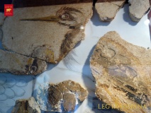 Oracular Sanctuary and Roman Baths of Mura