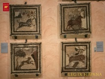 Museo de Zaragoza