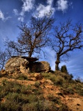 Dolmen de Casa Cremada