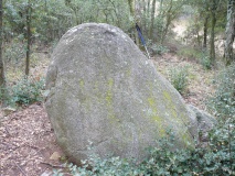 Menhir Vidal