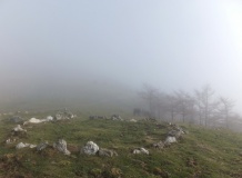 Errekaleku Cromlechs 1-26