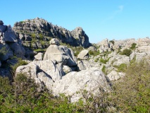 El Tornillo Del Torcal
