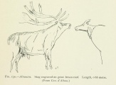 Click for full size image of Altamira (PID:98333) Altamira