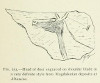 Click for full size image of Altamira (PID:98529) Altamira