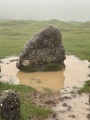 Organbide Lepoa Cromlech Tumular - PID:279787