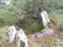 Los Cotorricos 1 Trikuharria