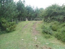 Los Cotorricos 3 tumulus