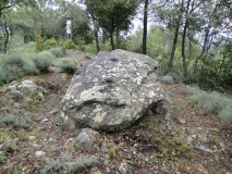 Dolmen de Figuera