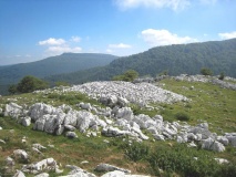 Murkuruko Arripila Dolmen