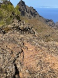 Pico Yeje Petroglifos