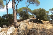 Dolmen de Pedra Gentil - PID:111973