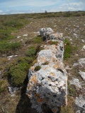 El Callejo menhir