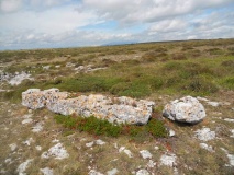 El Callejo menhir