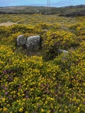 Dolmen de Cavada 2