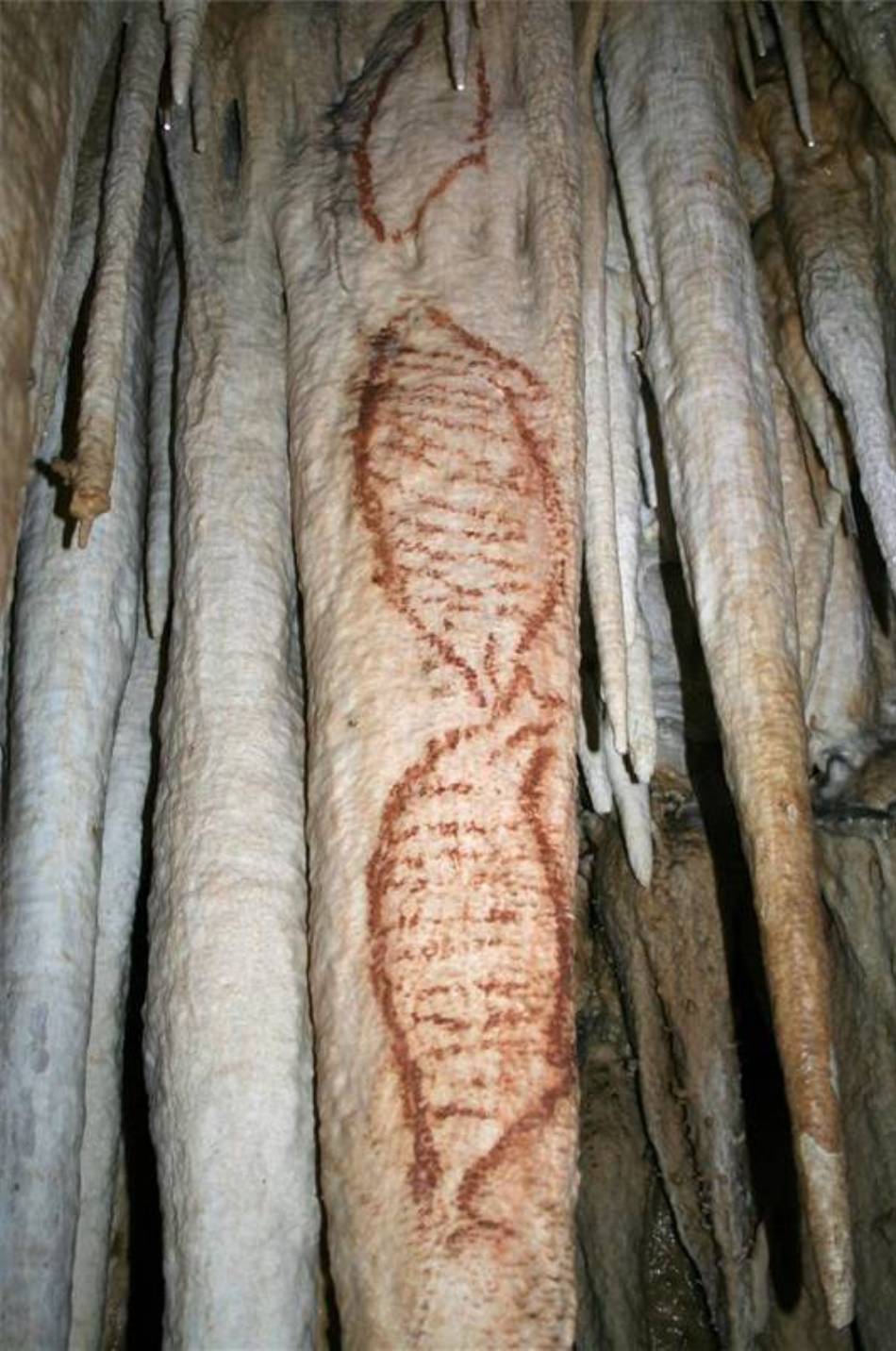 Click for the gallery page to add comments and vote (PID:86636) Caves of Nerja