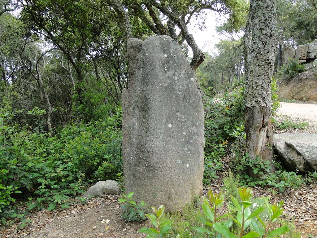 Menhir d'en Llach