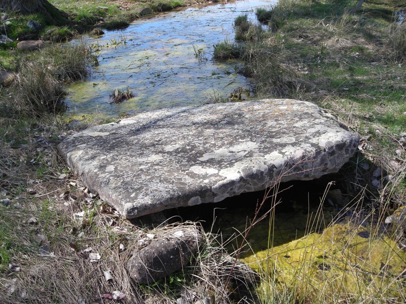 Reinosilla